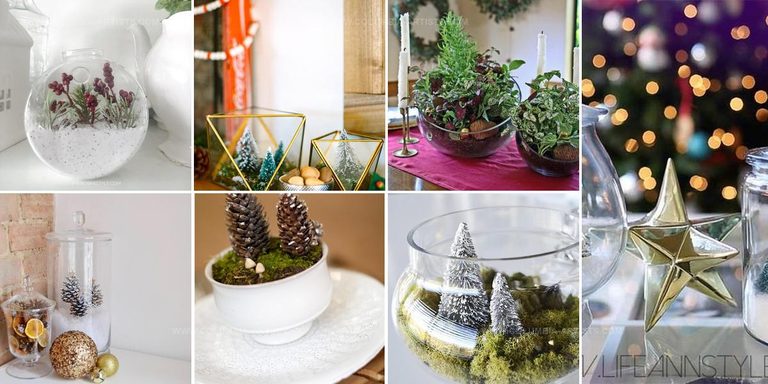 1110941 DIY Winter Terrarium Ideas