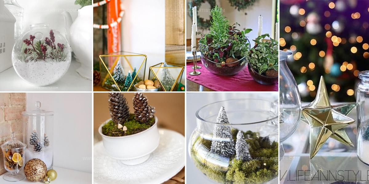 1110941 DIY Winter Terrarium Ideas