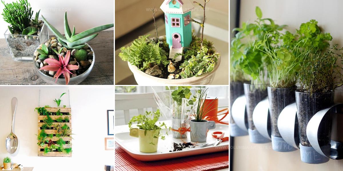 7332555 DIY Indoor Gardens