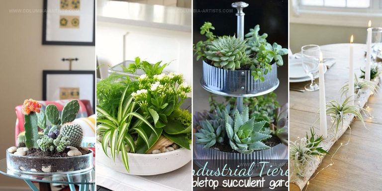1432291 Tabletop Garden DIY Ideas