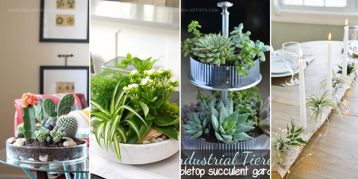 1432291 Tabletop Garden DIY Ideas