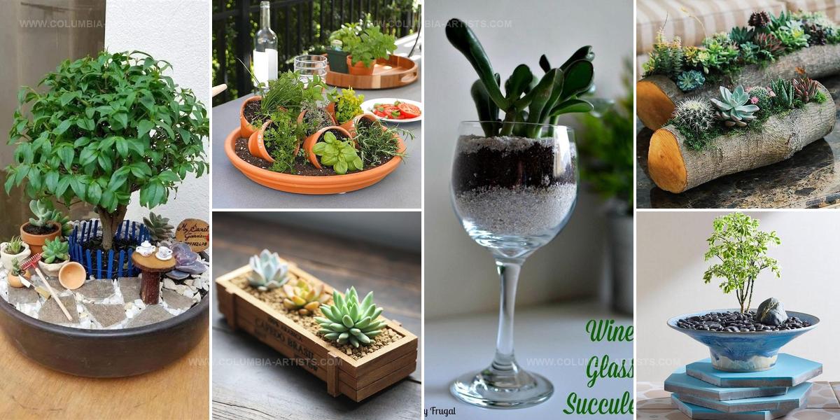 3092312 DIY Mini Zen Gardens
