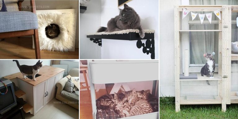 5719341 IKEA Furniture Hacks For Cats