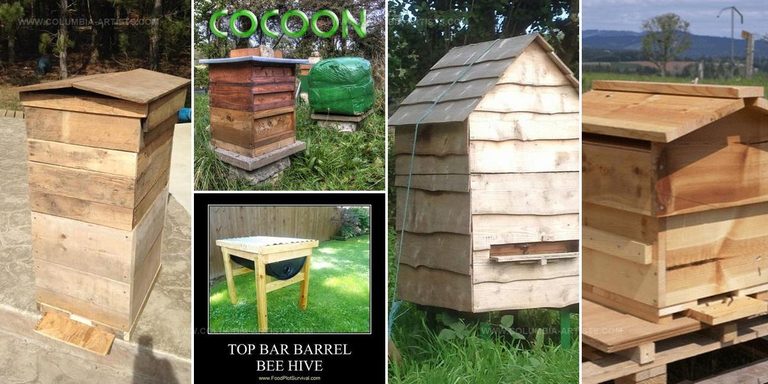 7151831 DIY Bee Hive Plans