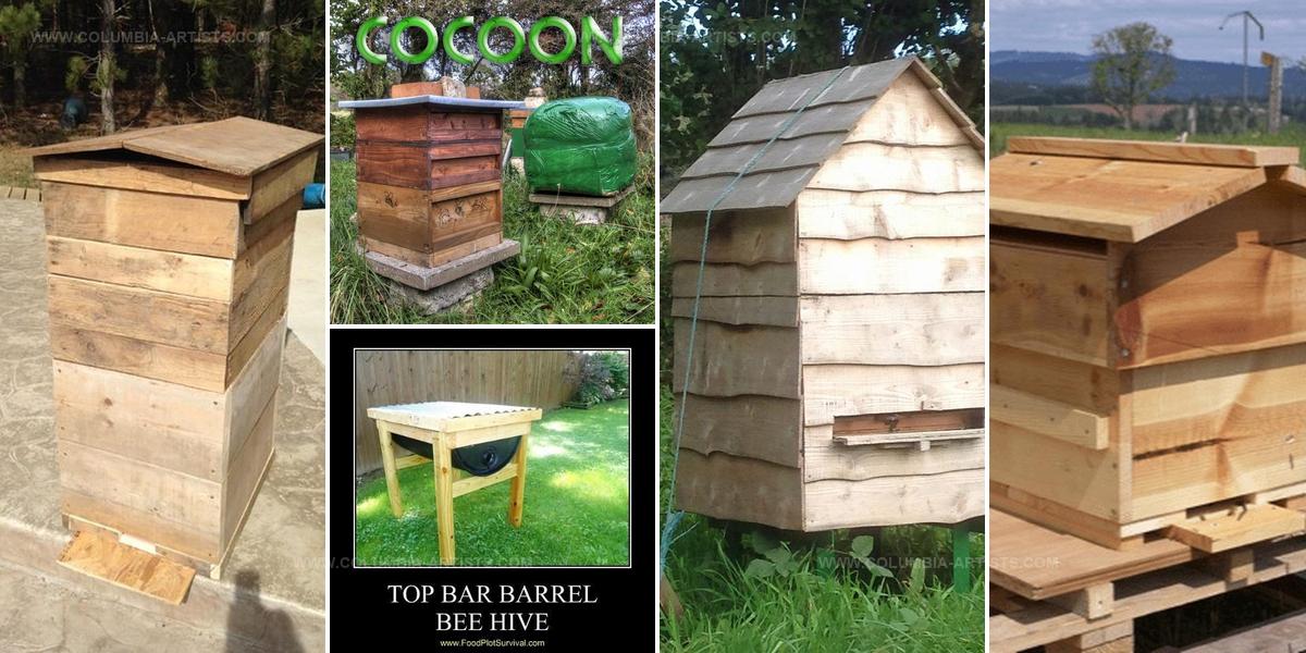 7151831 DIY Bee Hive Plans