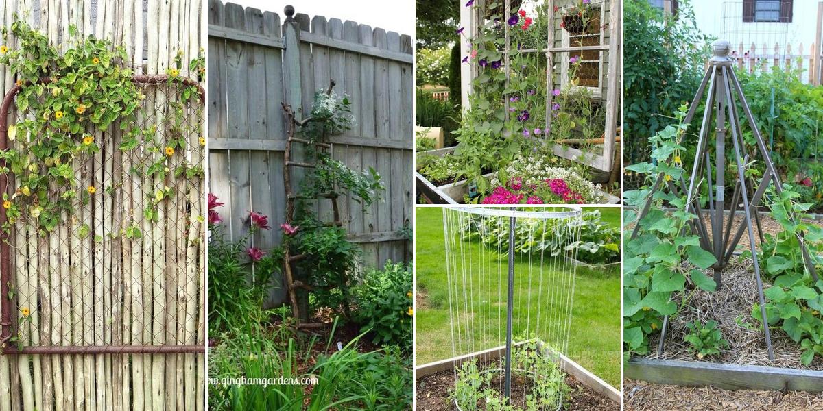 6241113 Recycled DIY Garden Trellis Ideas