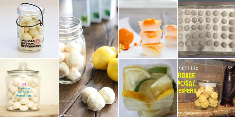 3882283 Easy DIY Garbage Disposal Refreshers