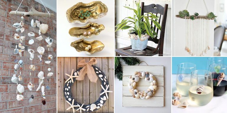 7522808 Seashell DIY Beach Decor Ideas