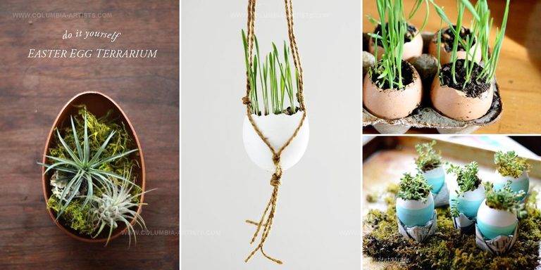7392832 DIY Easter Home Gardens
