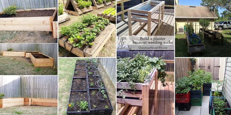 1470972 Cheap DIY Raised Garden Beds