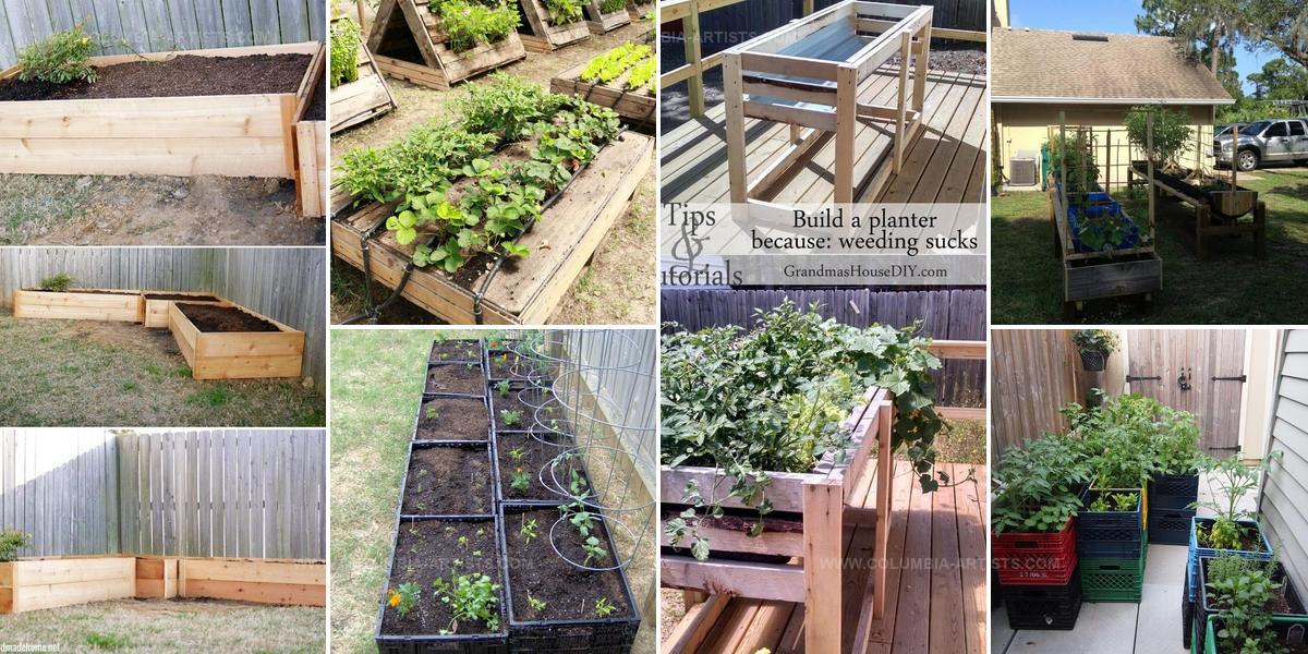 1470972 Cheap DIY Raised Garden Beds