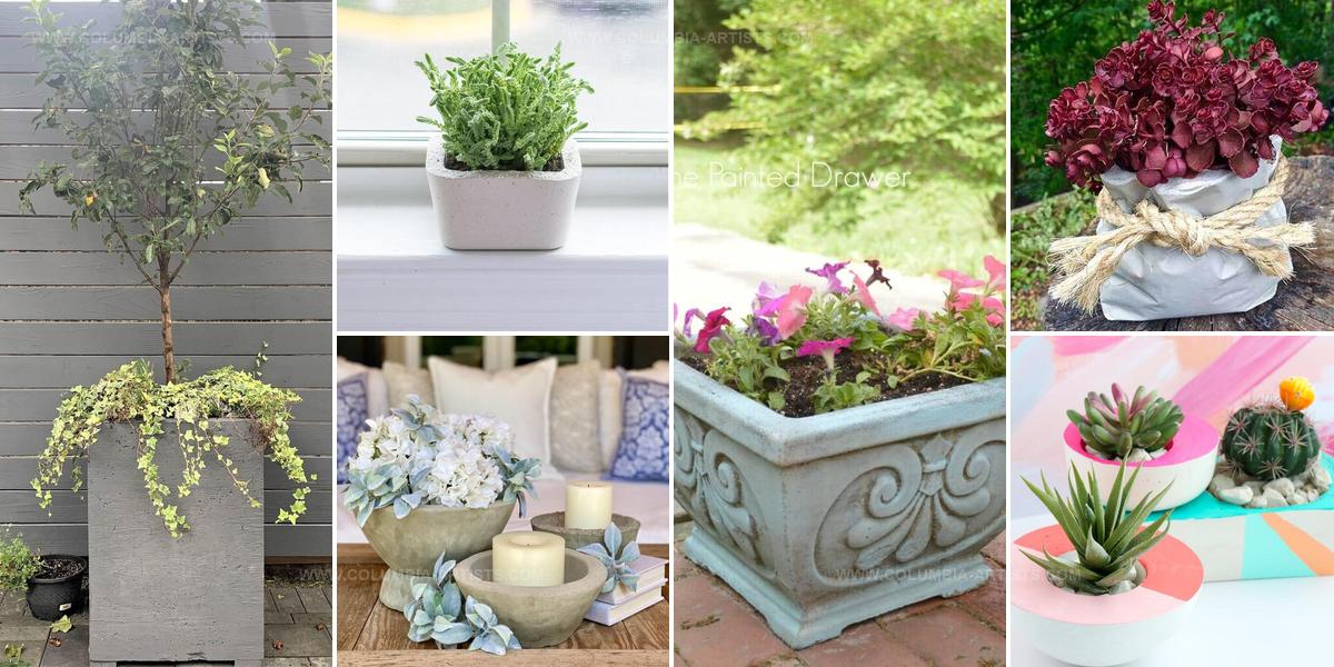 7552030 DIY Concrete Planter Ideas
