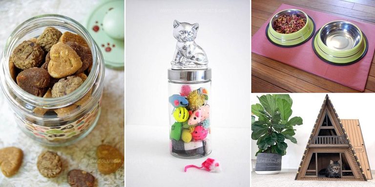 2727935 DIY Pet Projects On A Budget