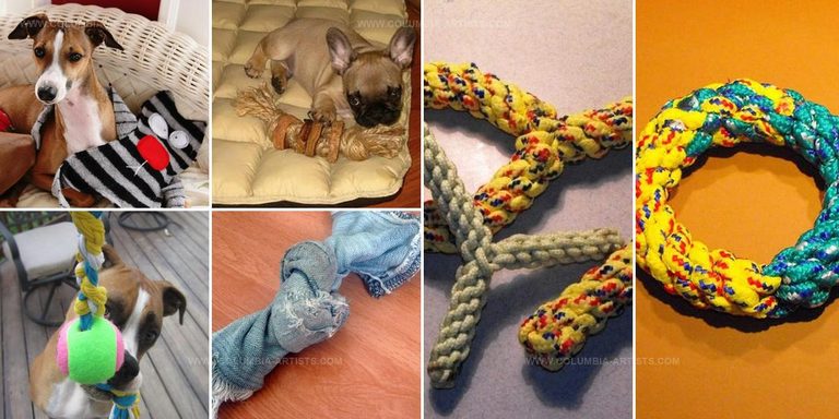 2947875 DIY Dog Toy Styles