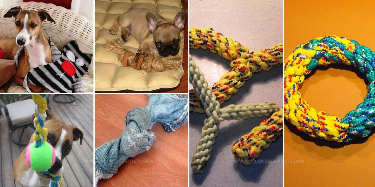 2947875 DIY Dog Toy Styles