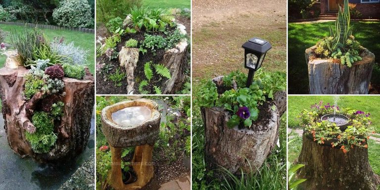 3489823 Tree Stump Garden Decor Ideas