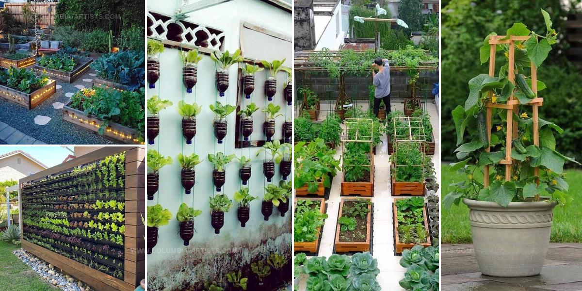 7428290 Vegetable Gardening DIY Ideas
