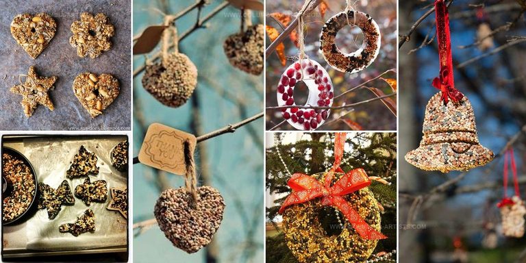3436761 DIY Birdseed Ornaments For Christmas