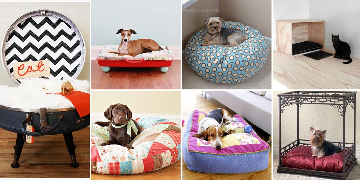 1388688 Simple DIY Pet Beds