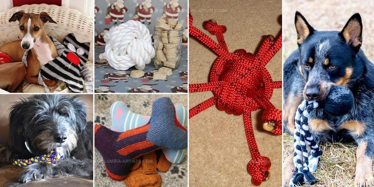 1972544 DIY Dog Toy Inspiration