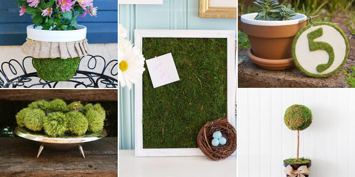 2620467 DIY Indoor Moss Decorations