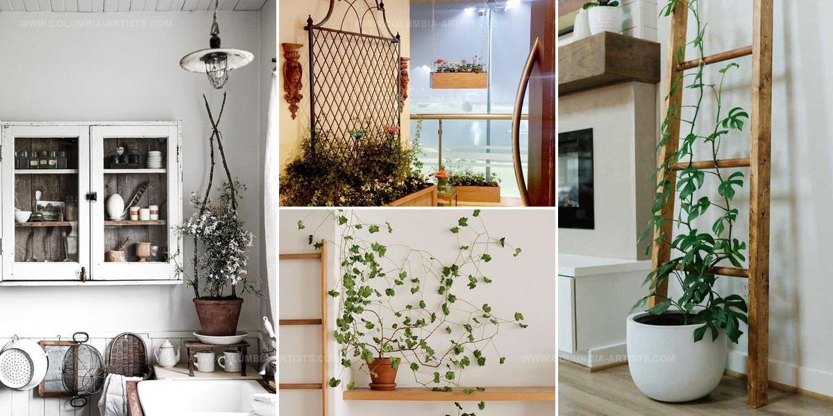 6192970 DIY Ladder Trellis Ideas