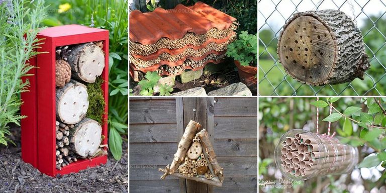 9092503 DIY Bug Hotel Ideas