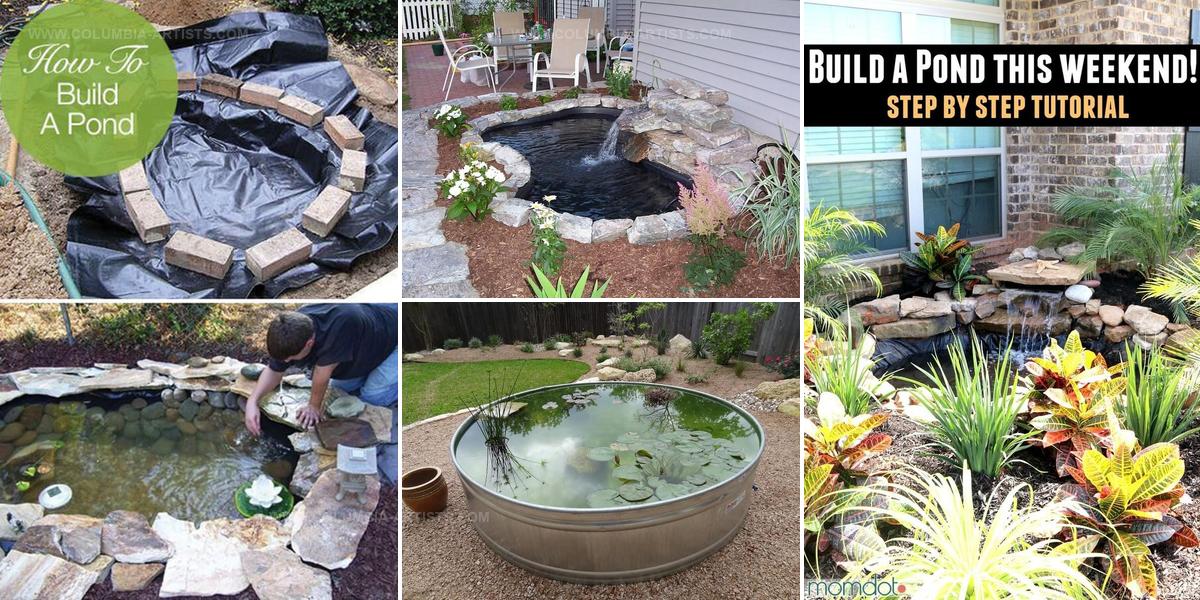 1952766 DIY Backyard Pond Inspiration