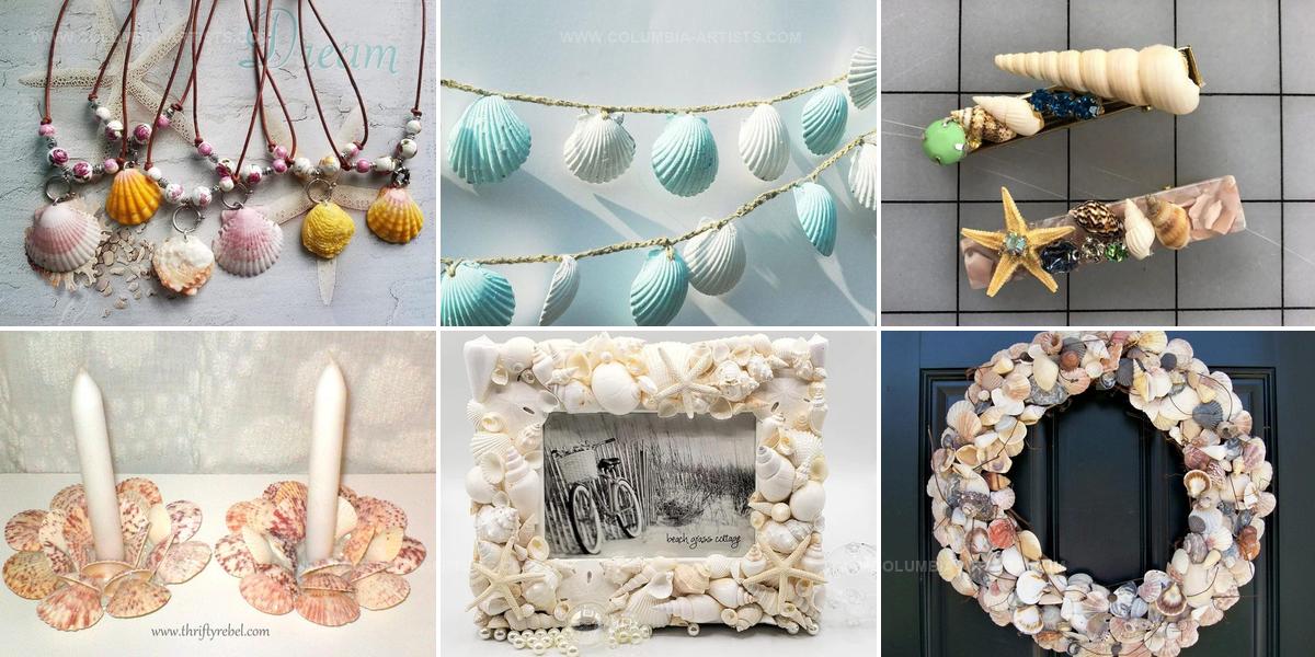 2465484 DIY Seashell Crafts