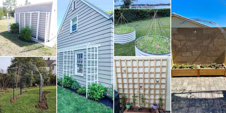 4962303 DIY Trellis Design Ideas