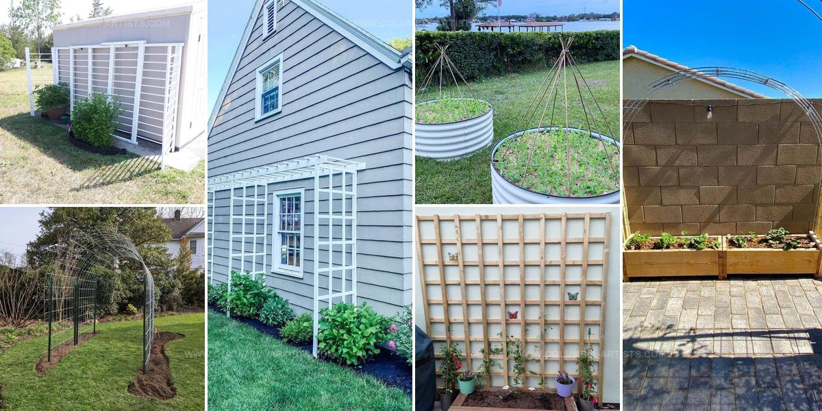 4962303 DIY Trellis Design Ideas