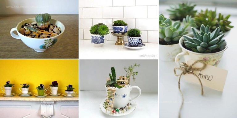 6531076 DIY Teacup Garden Ideas
