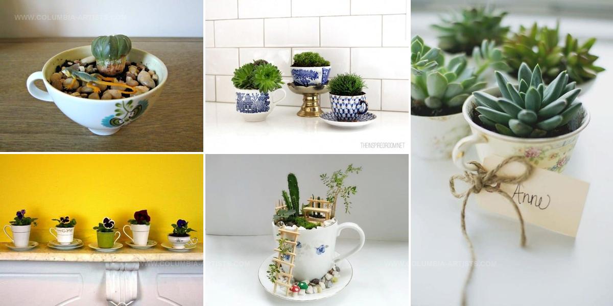 6531076 DIY Teacup Garden Ideas