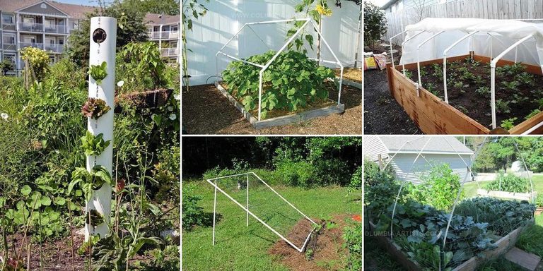 8477804 PVC Pipe Garden Projects