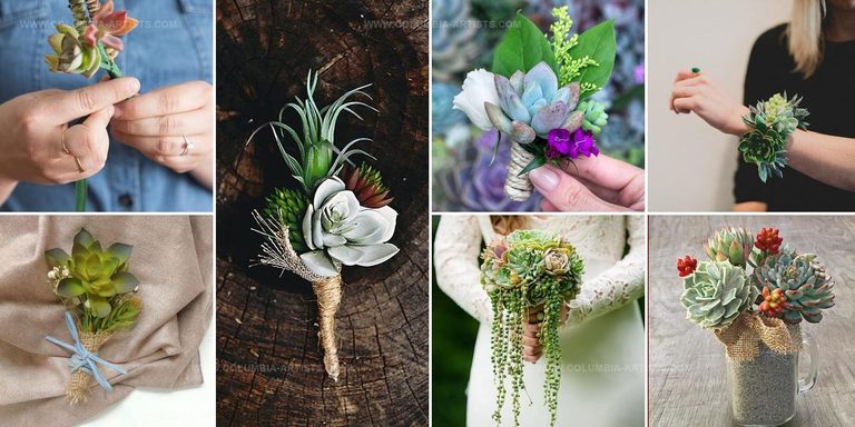 4412997 DIY Succulent Boutonniere Ideas