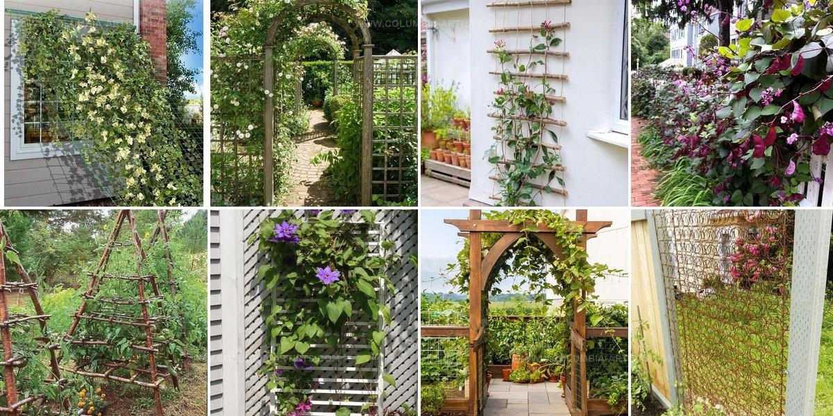 8841458 DIY Garden Support Ideas