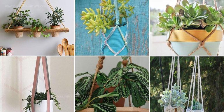 3105142 DIY Plant Hanger Ideas