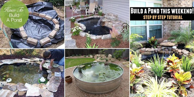 3202369 DIY Backyard Pond Styles