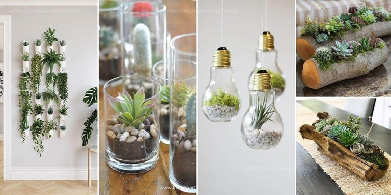 6709761 Recycled Indoor Planter Ideas