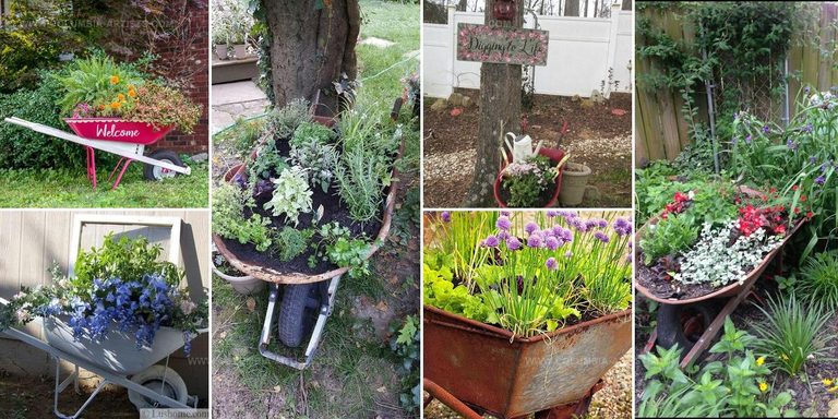 2642568 Wheelbarrow Planter Ideas