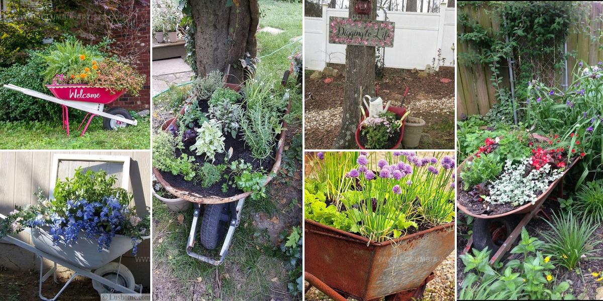 2642568 Wheelbarrow Planter Ideas