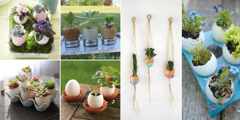 5827499 DIY Eggshell Planter Ideas
