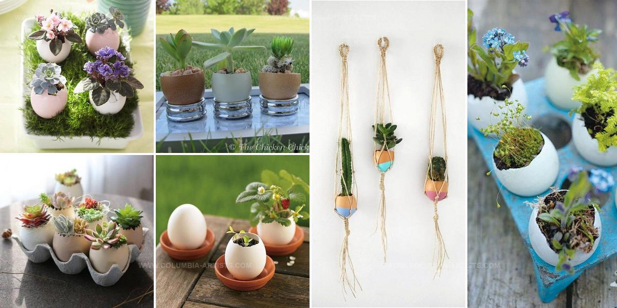 5827499 DIY Eggshell Planter Ideas