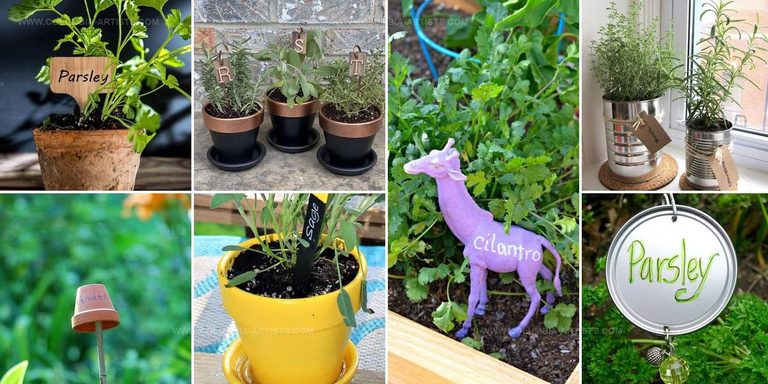 5833636 DIY Herb Marker Ideas