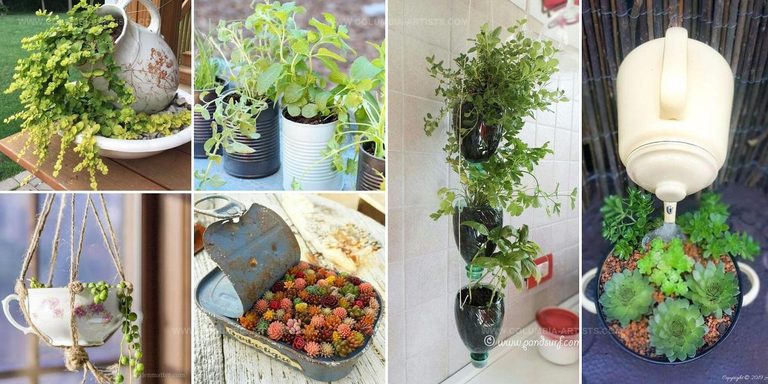 4105465 DIY Planters From Kitchen Items