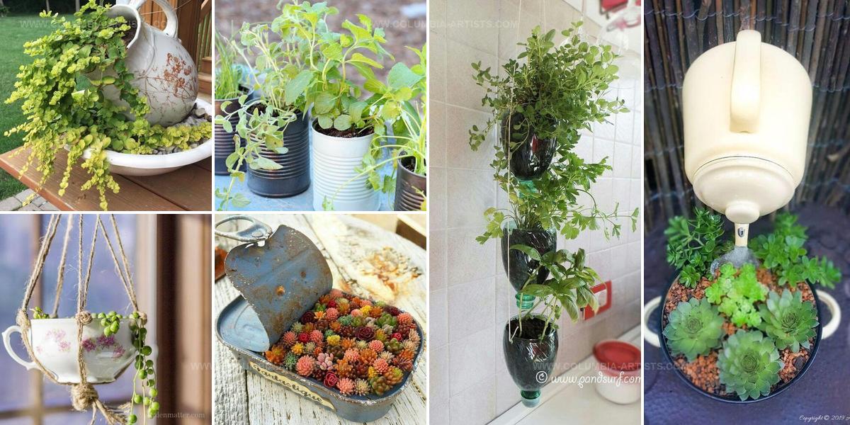 4105465 DIY Planters From Kitchen Items