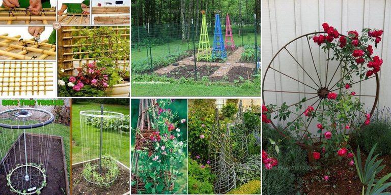 7763293 Upcycled Garden Trellis Ideas