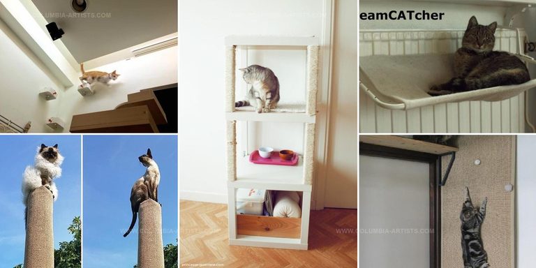 3704887 DIY IKEA Cat Owner Hacks