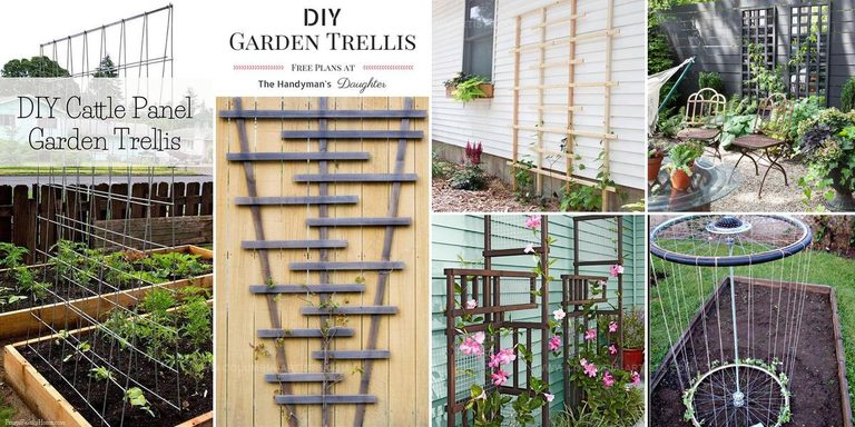 4457894 DIY Garden Trellis Projects