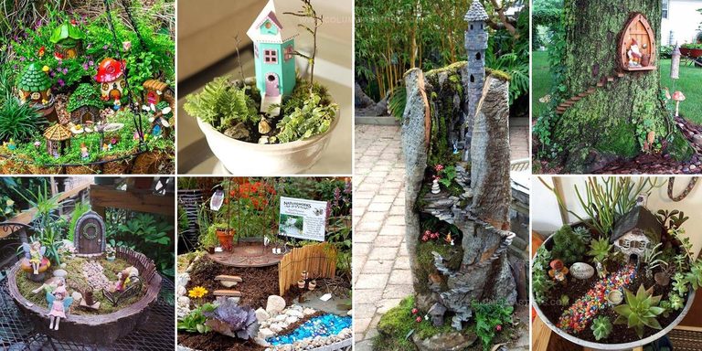 2506129 DIY Fairy Garden Designs